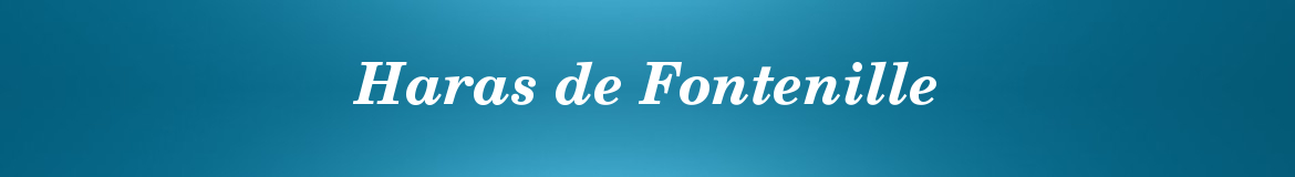 Haras de Fontenille